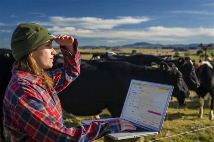 A Guide To Meaningful And Effective Livestock Identification
