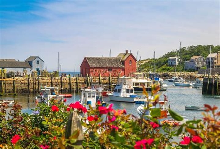 Discover Hidden Gems And Unleash Laughter