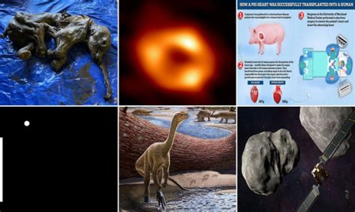 Unveiling Shari Headley's Net Worth: Discoveries And Insights Revealed